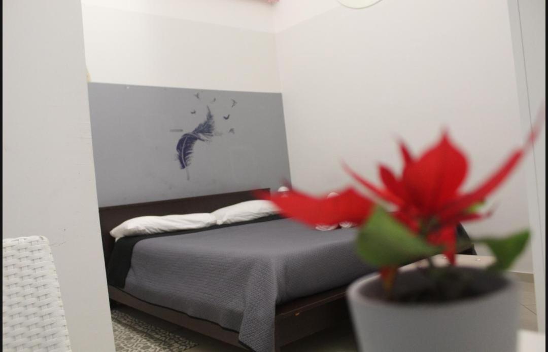 Kimia Home, Centro Модуньо Екстериор снимка